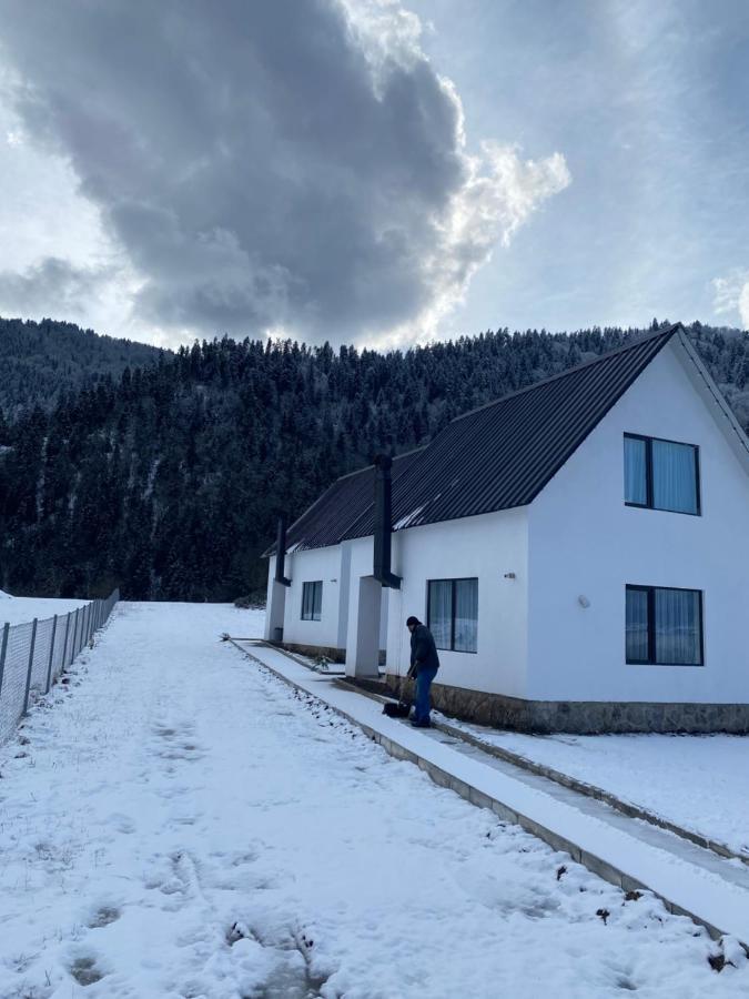 White House Near Borjomi Sadgeri Apartment ภายนอก รูปภาพ