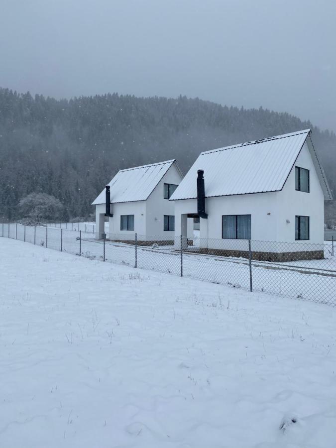 White House Near Borjomi Sadgeri Apartment ภายนอก รูปภาพ