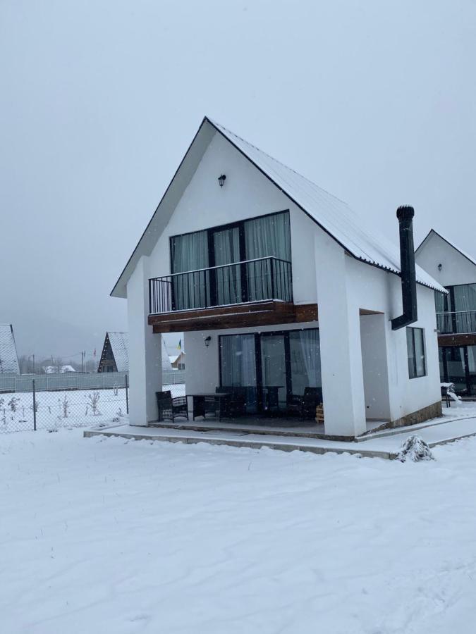 White House Near Borjomi Sadgeri Apartment ภายนอก รูปภาพ