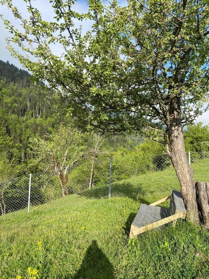 White House Near Borjomi Sadgeri Apartment ภายนอก รูปภาพ