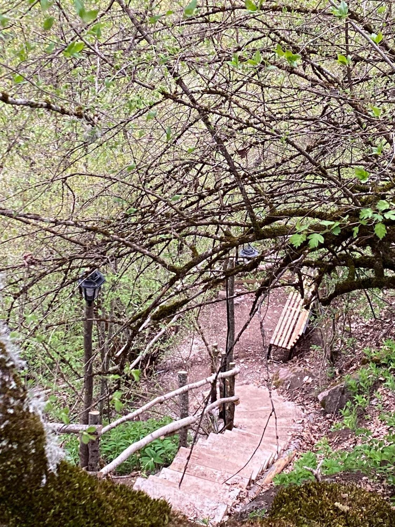 White House Near Borjomi Sadgeri Apartment ภายนอก รูปภาพ